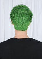 One Piece Roronoa Zoro Green Wavy Lace Front Synthetic Men's Wig LF6044