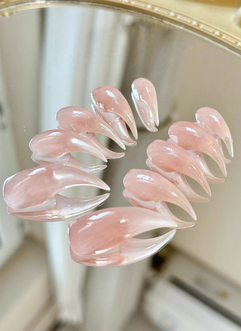 Pink Nude 3D Dragon & Eagle Claw Fantasy Handmade Press-On Nails NF071
