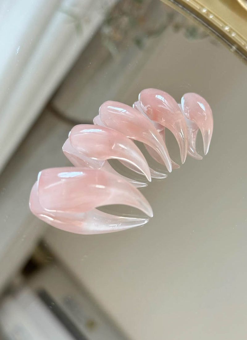 Pink Nude 3D Dragon & Eagle Claw Fantasy Handmade Press-On Nails NF071
