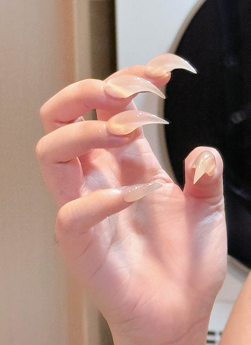 Pink Nude 3D Dragon & Eagle Claw Fantasy Handmade Press-On Nails NF071