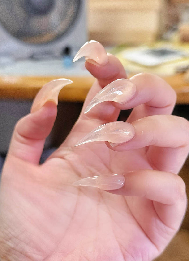 Pink Nude 3D Dragon & Eagle Claw Fantasy Handmade Press-On Nails NF071