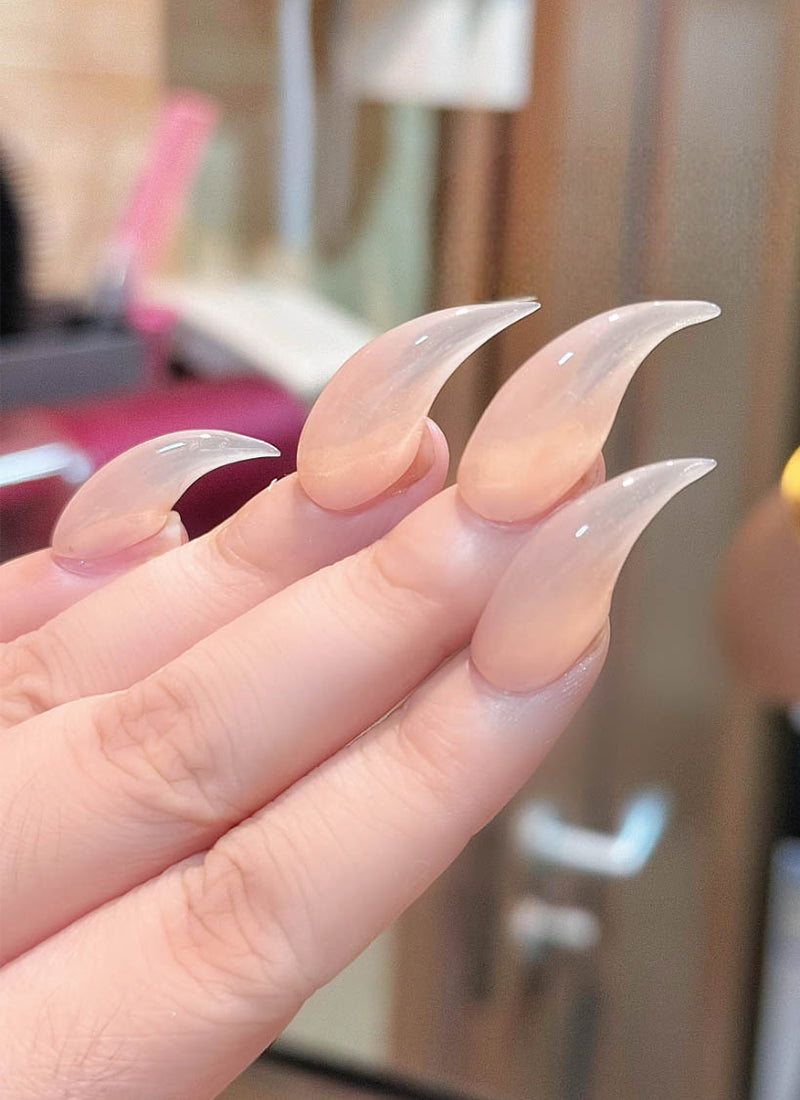 Pink Nude 3D Dragon & Eagle Claw Fantasy Handmade Press-On Nails NF071