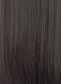 Brunette Straight Synthetic Wig CSX073