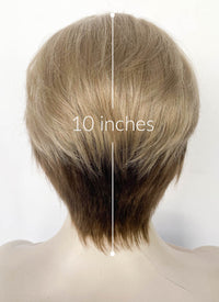 Blonde Brown Peekaboo Straight Lace Front Synthetic Hair Men's Wig LF6108