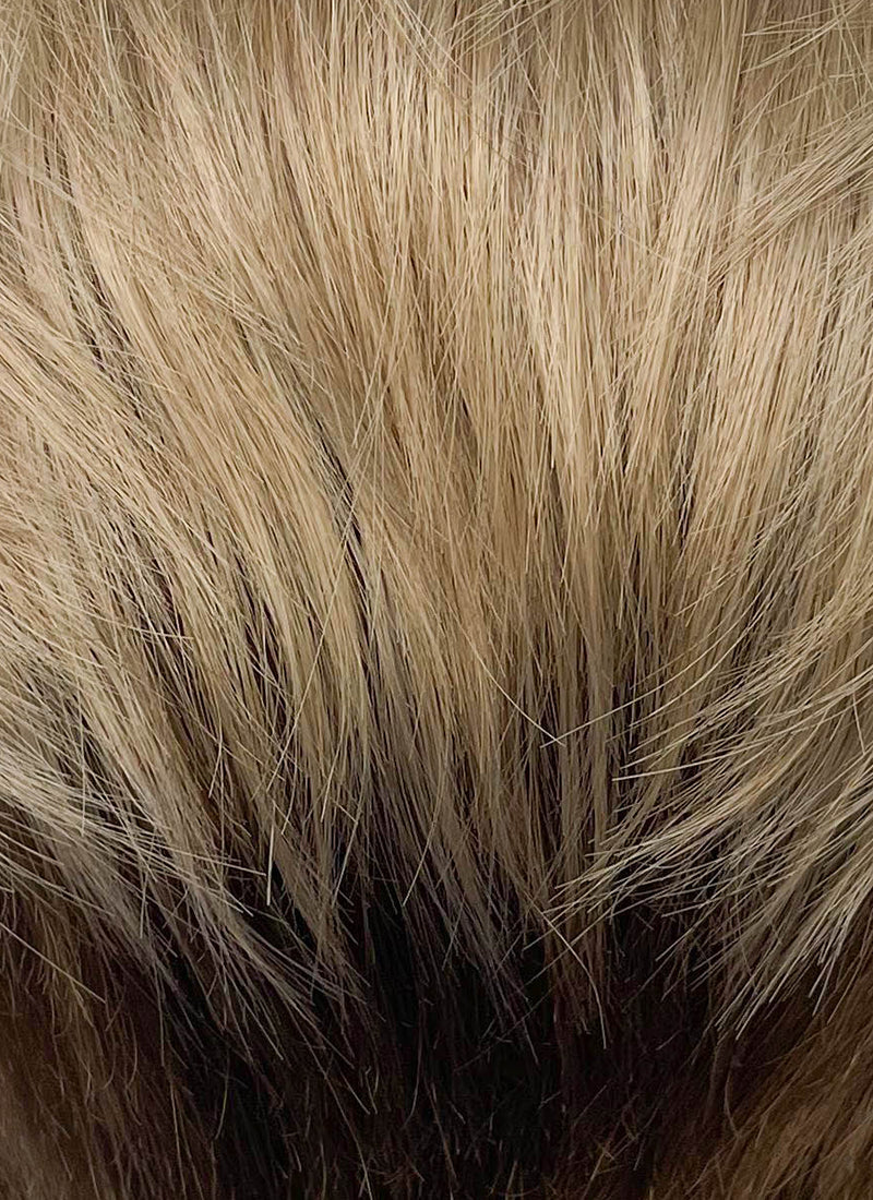 Blonde Brown Peekaboo Straight Lace Front Synthetic Hair Men's Wig LF6108