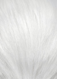 White Straight Lace Front Synthetic Hair Men's Wig LF6135