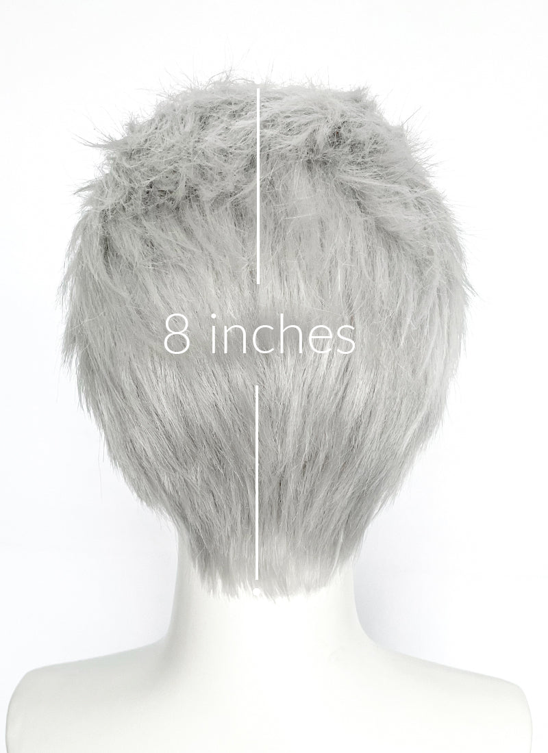 Devil May Cry Vergil Straight Silver Grey Lace Front Synthetic Men's Wig LF6192