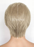 Resident Evil Albert Wesker Pastel Ash Blonde Straight Lace Front Synthetic Men's Wig LF8035