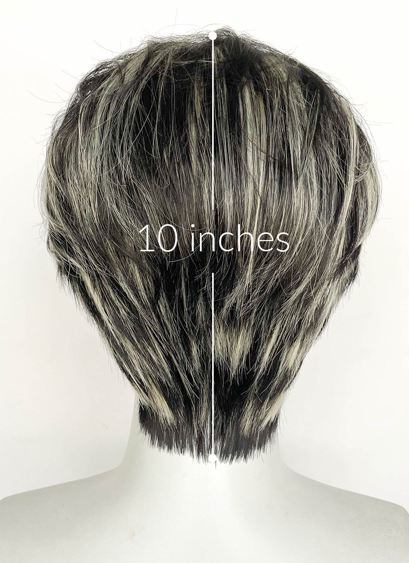 Blonde Mixed Black Straight Lace Front Synthetic Men's Wig LF8044