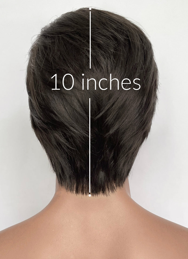 Brunette Straight Lace Front Synthetic Hair Men's Wig NM030
