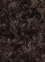 Brunette Curly Mod Lace Front Synthetic Men's Wig LF8074