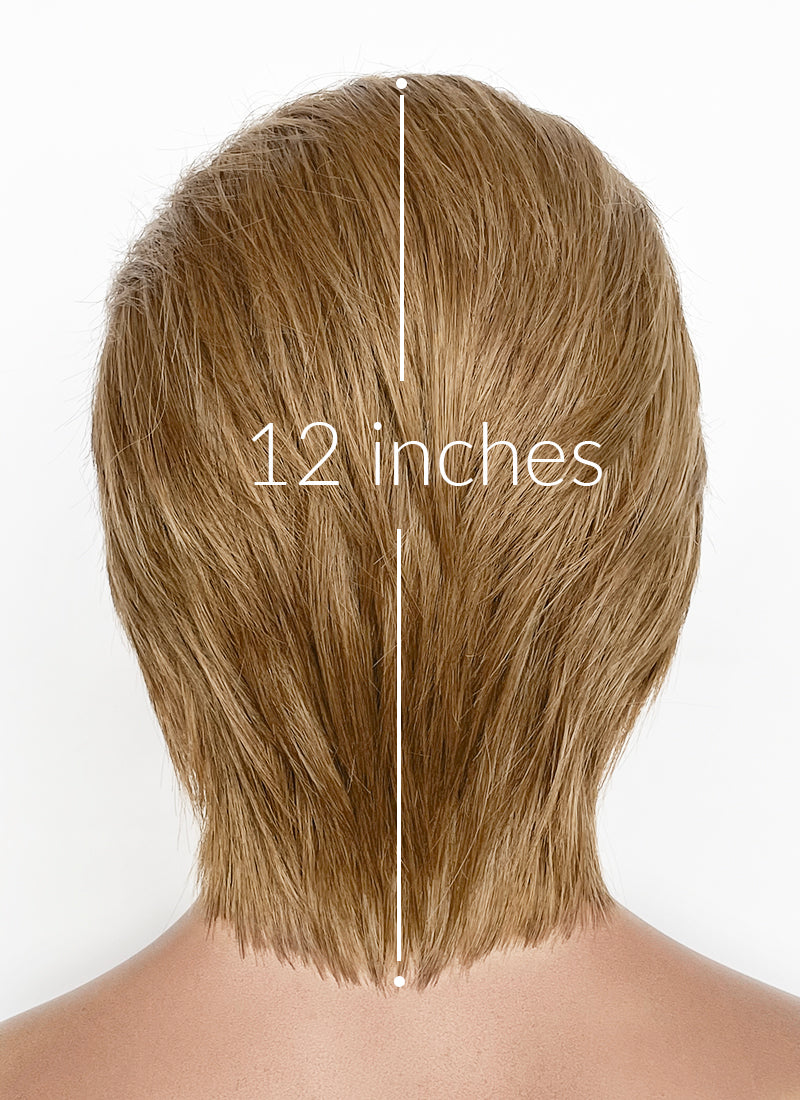 Medium Blonde Straight Lace Front Synthetic Men's Wig NM022