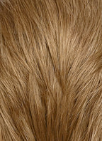 Medium Blonde Straight Lace Front Synthetic Men's Wig NM022