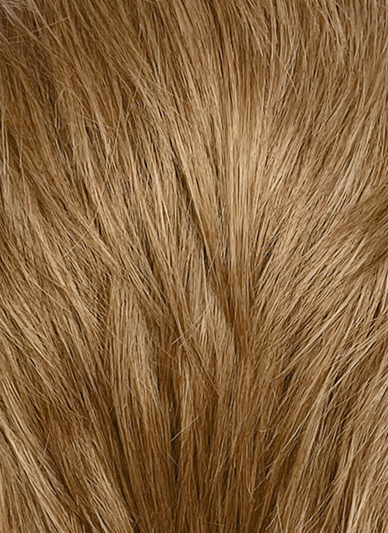Medium Blonde Straight Lace Front Synthetic Men's Wig NM022