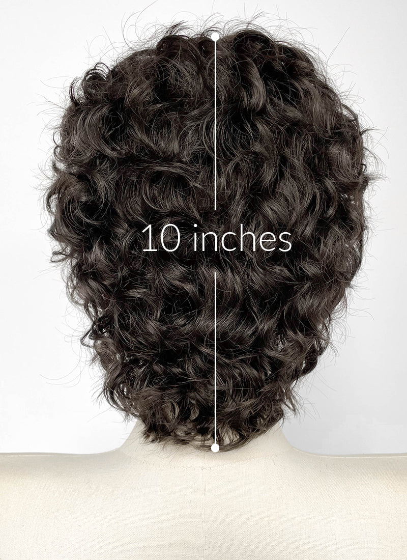House of Dragon Prince Jacaerys Velaryon Brunette Curly Lace Front Synthetic Men's Wig LF8140