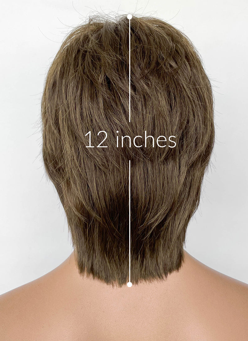Brown Straight Synthetic Men's Wig NM033