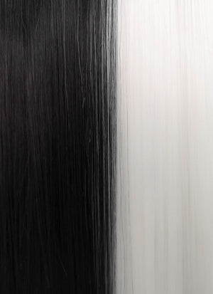 White Black Split Color Straight Lace Front Synthetic Wig LF3185