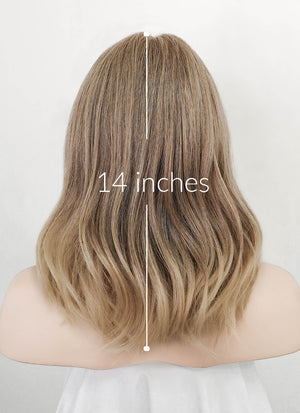 Mixed Blonde Wavy Lace Front Kanekalon Synthetic Wig LF3245