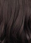 Brunette And Burgundy Money Piece Curtain Bangs Wavy Lace Front Synthetic Wig LF3302