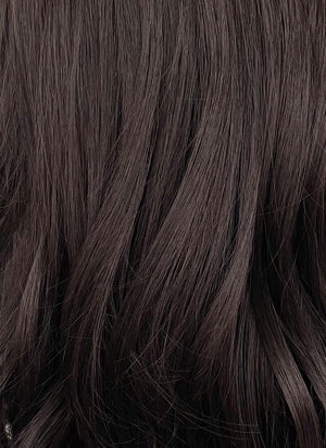 Brunette And Burgundy Money Piece Curtain Bangs Wavy Lace Front Synthetic Wig LF3302