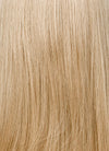 Blonde Curtain Bangs Straight  Layered Hush Cut Lace Front Synthetic Hair Wig LF3332