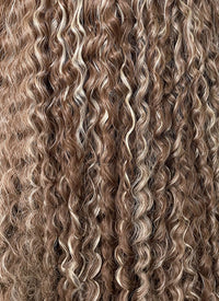 Brown Mixed Blonde Curly Lace Front Synthetic Wig LF5154