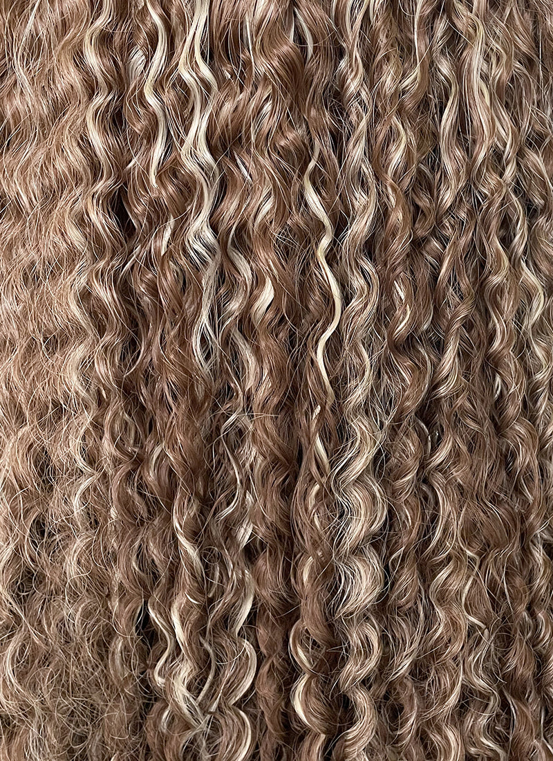 Brown Mixed Blonde Curly Lace Front Synthetic Wig LF5154