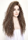 Brown Mixed Blonde Curly Lace Front Synthetic Wig LF5154