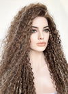 Brown Mixed Blonde Curly Lace Front Synthetic Wig LF5154