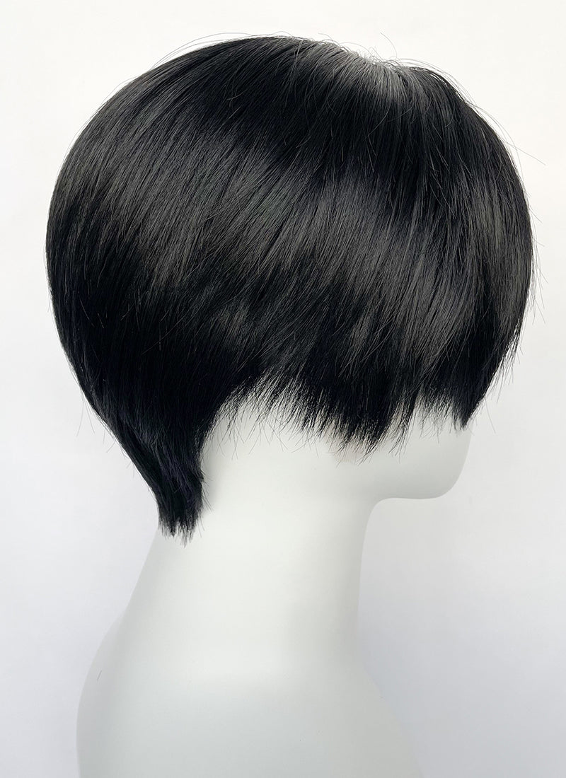 Jet Black Straight Lace Front Synthetic Men's Wig LF6050