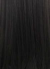 Straight Jet Black Lace Front Synthetic Wig LFB002