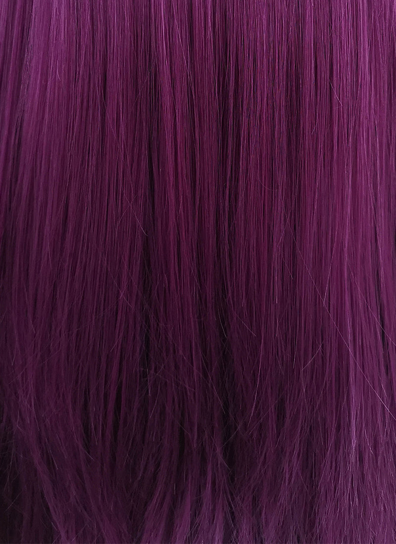 Straight Dark Purple Lace Front Synthetic Wig LFB029