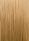 Blonde Yaki Straight Synthetic Hair Wig NS434