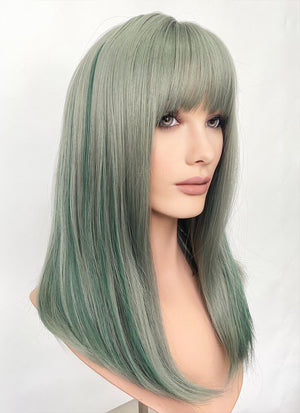 Green With Highlights Straight Synthetic Hair Wig NS493