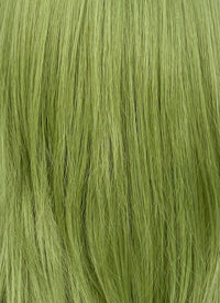 Green Straight Synthetic Hair Wig NS523